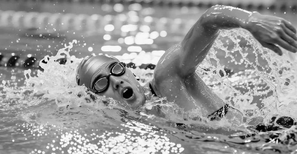 Sharks Swim Club tuyển Giám đốc Phát triển: Bài toán chuyển hóa tiềm năng trẻ Sharks Swim Club tuyển Giám đốc Phát triển: Bài toán chuyển hóa tiềm năng trẻ